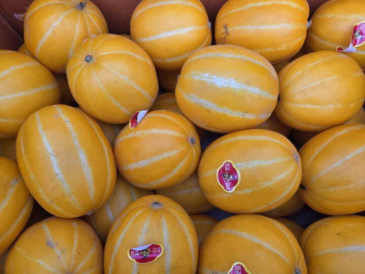 [4월14일/화요일수령]고당도 참외 평균14brix(6개)