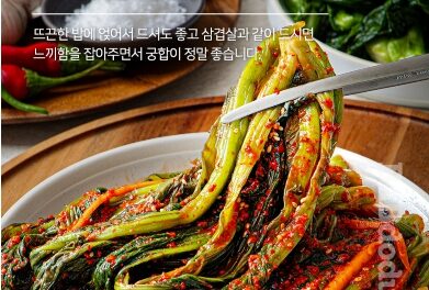 밥도둑*여수 돌산 갓김치1kg-[1월14일/수요일수령]